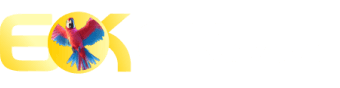 Online 365 - Betlive

